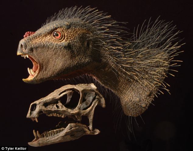 Loài[-]khủng[-]long[-]Pegomastax[-]africanus[-]được[-]các[-]nhà[-]khoa[-]học[-]dựng[-]lại